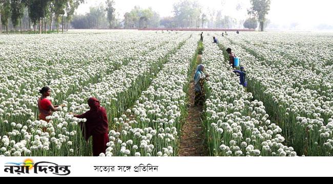 সাময়িক বরখাস্ত বিএডিসির ২ কর্মকর্তা, দায়িত্ব থেকে অব্যহতি আরেকজনের