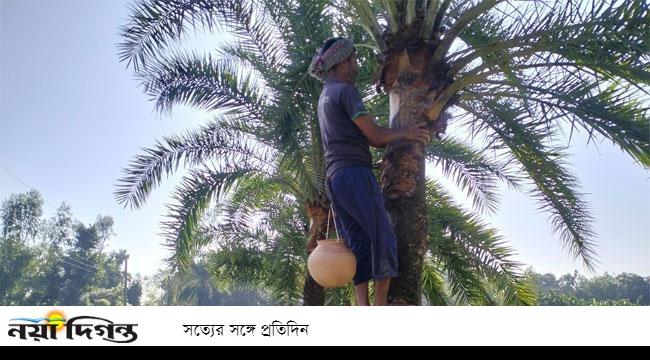 কুড়িগ্রামে খেজুর রসের ঐতিহ্যে ভাটা