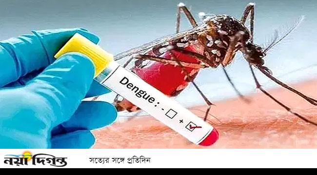 বছরের প্রথম দিন ডেঙ্গুতে মৃত্যু নেই, হাসপাতালে ৮৬