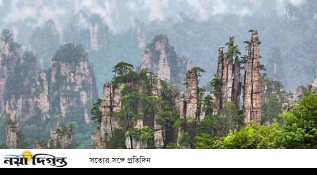 যেখান থেকে ‘অ্যাভাটারের’ অনুপ্রেরণা আসে