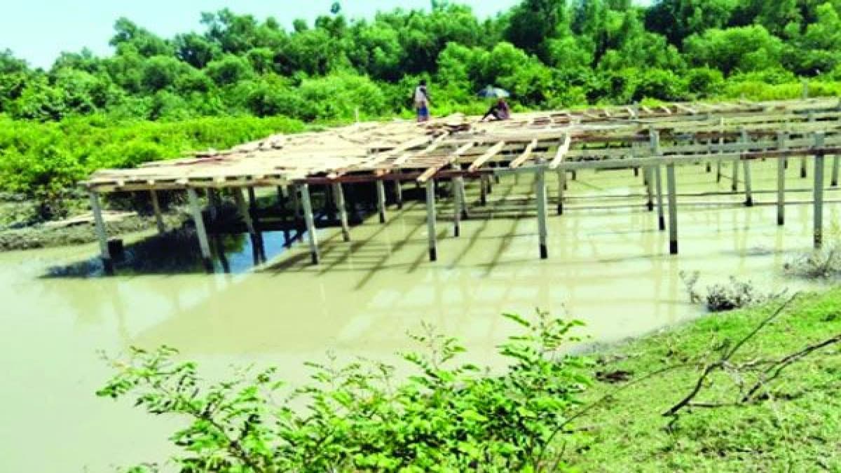 ম্যানগ্রোভের পাশেই হচ্ছে স্থাপনা, হুমকিতে বনাঞ্চল
