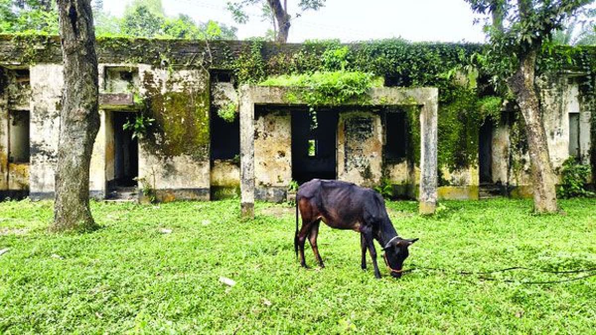 সিংড়া স্বাস্থ্য কল্যাণ কেন্দ্র কাগজে পুনর্নির্মাণ, বাস্তবে পরিত্যক্ত ভবন
