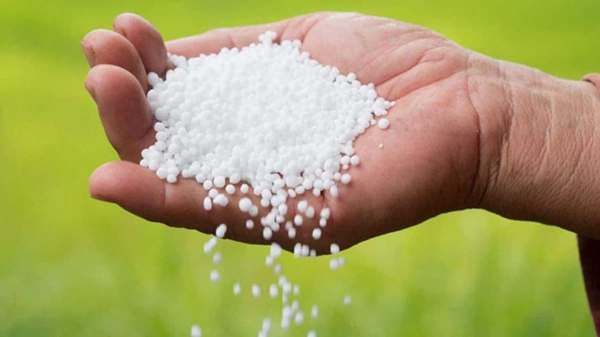 ইউরিয়া সার আমদানির ২ প্রস্তাব অনুমোদন