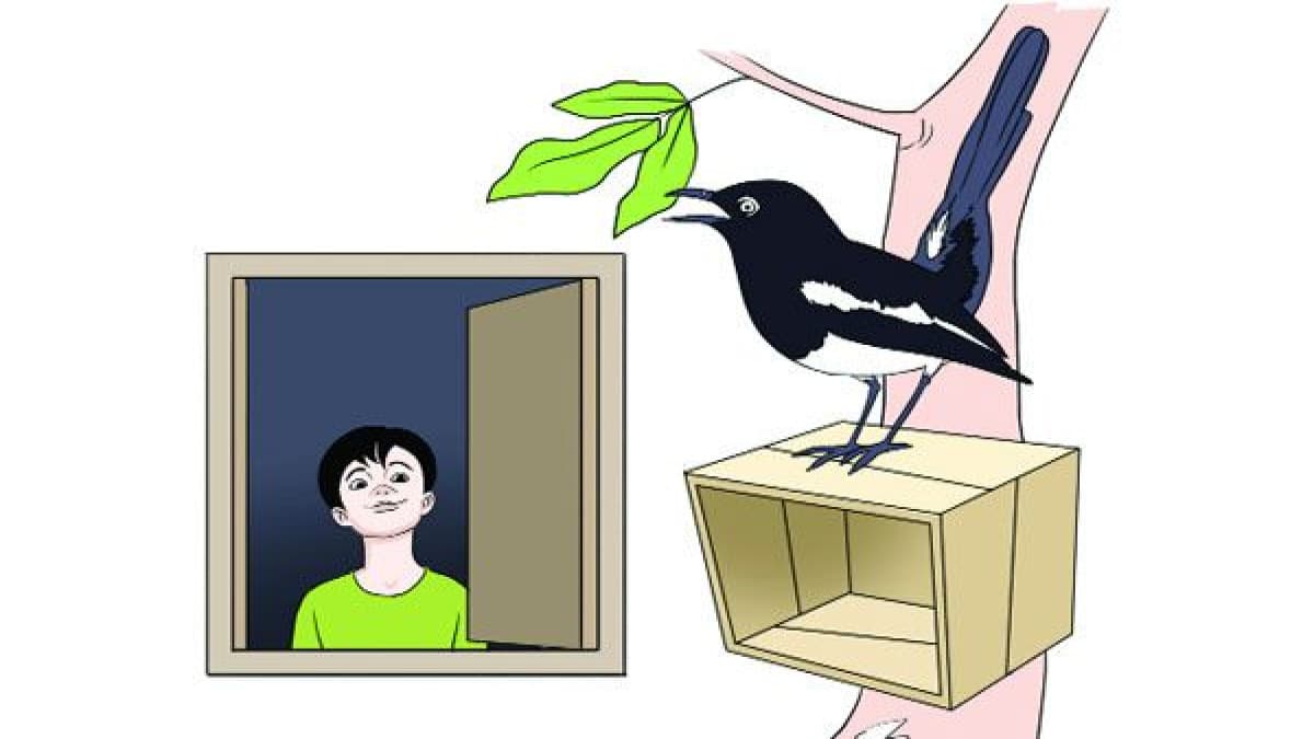 নিখোঁজ দোয়েলের সন্ধানে : জনি হোসেন কাব্য