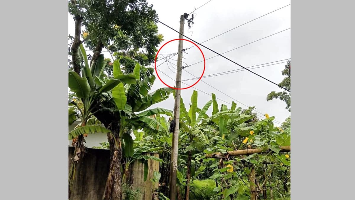 ট্রান্সফরমার চুরি : ১ মাস ধরে বিদ্যুৎহীন মিরসরাইয়ের এলাকাবাসী