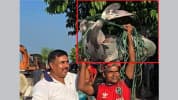 দৌলতদিয়ায় ৭৯ হাজার টাকায় বিক্রি মহাবিপন্ন প্রজাতির বাঘাইড় মাছ