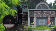 নজরদারির অভাবে ইসলামী বিশ্ববিদ্যালয়ে বাড়ছে অশালীন মেলামেশা