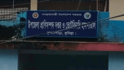 ব্রাহ্মণপাড়ায় ভুয়া পশু চিকিৎসকের দাপট, শঙ্কায় খামারিরা