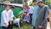 কুমিল্লায় ১ লাখ তালবীজ রোপণ কর্মসূচি উদ্বোধন