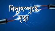 ভালুকায় বিদ্যুৎস্পৃষ্টে ২ ভাইয়ের মৃত্যু