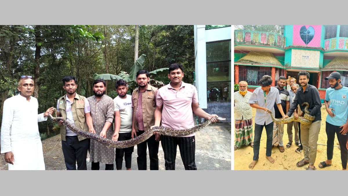 মিরসরাইয়ে এক দিনে ২ অজগর উদ্ধার