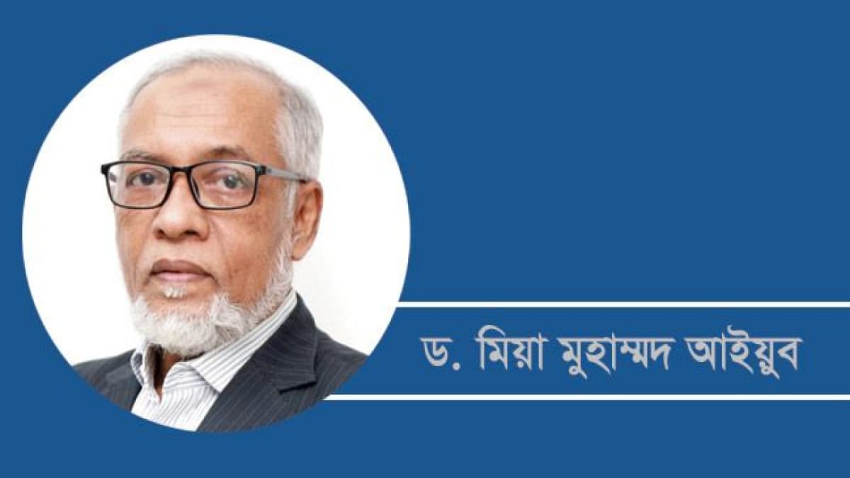 সাংবিধানিক প্রতিষ্ঠানগুলো সংস্কারে রাজনৈতিক অঙ্গীকার