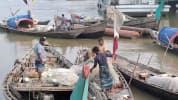 ২২ দিন মেঘনায় সব ধরনের মাছ ধরা বন্ধ, চাল পাবেন ৪২ হাজার জেলে