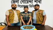 পিরোজপুরে গাঁজাসহ যুবক গ্রেফতার