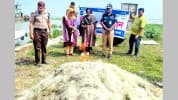 মেঘনায় মা ইলিশ সংরক্ষণ অভিযান, ৫০ হাজার মিটার জাল জব্দ