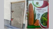 পাটগ্রামে ভারত থেকে আমদানীকৃত ভুট্টাবীজ বিধিবহির্ভূতভাবে প্যাকেটজাতের অভিযোগ