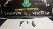 বড়াইগ্রামে বাজারের ব্যাগ থেকে শুটারগান উদ্ধার