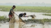 হারিয়ে যাচ্ছে দেশীয় মাছ ধরার উৎসব