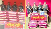 ব্রাহ্মণপাড়া সীমান্তে বিজিবির অভিযানে বিপুল পরিমাণ ভারতীয় পণ্য জব্দ