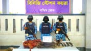 সুন্দরবনে কোস্টগার্ডের অভিযানে হরিণের গোশত জব্দ