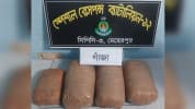 গাংনীতে ৭ কেজি গাঁজাসহ মাদক কারবারি গ্রেফতার
