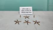 লৌহজংয়ে পুলিশের লুট হওয়া ২২ রাউন্ড কার্তুজ উদ্ধার