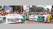 পল্টন হত্যাকাণ্ডের বিচার দাবিতে শেরপুরে জামায়াতের বিক্ষোভ