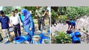 জেলি-সয়াবিন মিশিয়ে ভেজাল দুধ উৎপাদন, ২ জনের কারাদণ্ড-জরিমানা