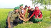 পরিবেশের ভারসাম্য রক্ষায় নবাবগঞ্জে ৩০০ তাল বীজ রোপণ