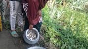 আড়াইহাজারে পুকুরে বিষ প্রয়োগ, আড়াই লাখ টাকার মাছ নিধনের অভিযোগ