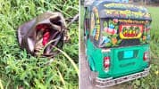 কুমিল্লায় ফসলি জমি থেকে তরুণীর লাশ উদ্ধার