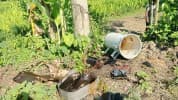 নলডাঙ্গায় রাতের আঁধারে বৈদ্যুতিক ট্রান্সফরমার চুরি