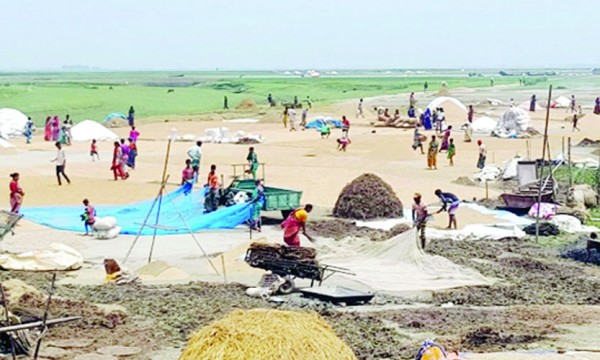 ফড়িয়ারা হাওরের কৃষকদের ধান কিনে নিচ্ছে পানির দরে